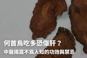 何首烏雞湯禁忌|何首烏秋冬進補怎麼吃？醫列功效禁忌＋何首烏藥膳做。